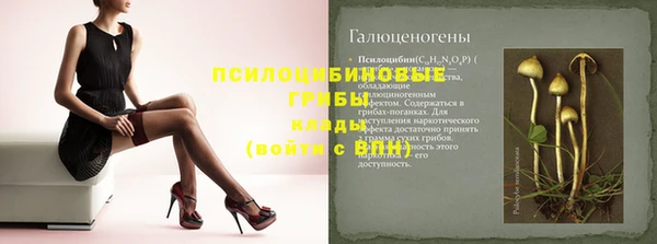 спайс Алексин