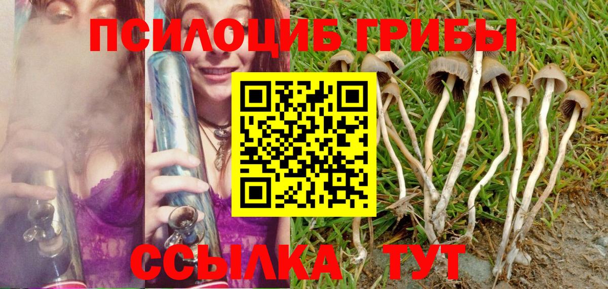 Галлюциногенные грибы MAGIC MUSHROOMS  Вход с VPN  Ижевск 